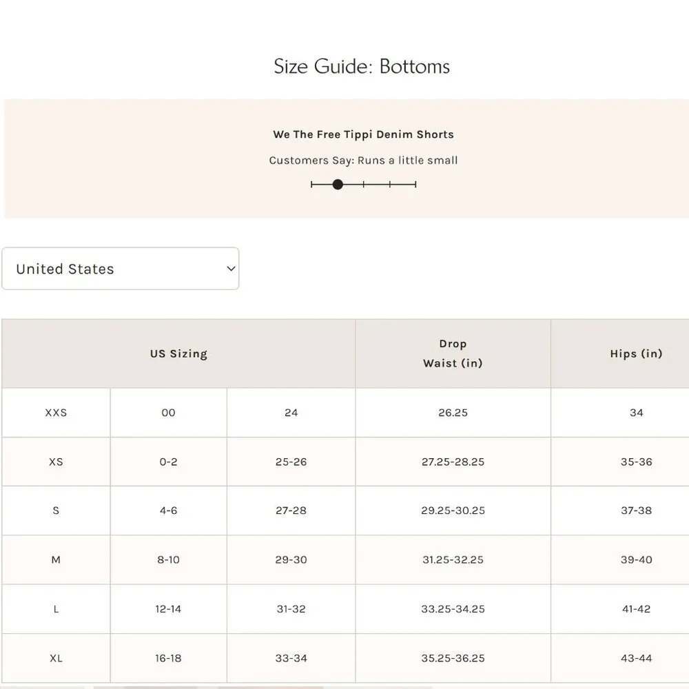 NWT Free People Tippi Denim Shorts in Linger